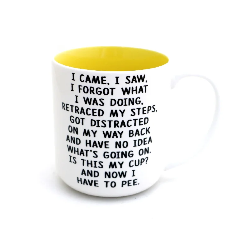 I Came I Saw mug, middle aged, birthday mug, funny adulting