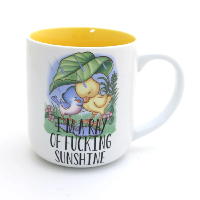 Ray of F'n Sunshine Bird and Duck mug, funny spring gift, mature language