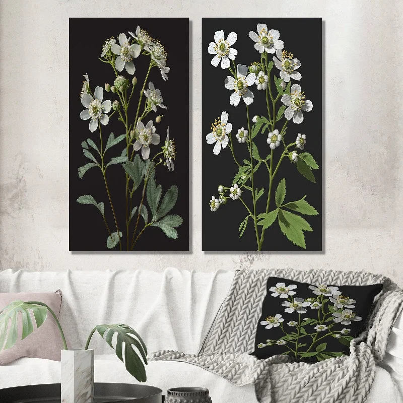 Designart "Blossoming Diphylleia Grayi On Black I" Floral Wall Art Set of 2 - Traditional Gallery Set For Office Decor