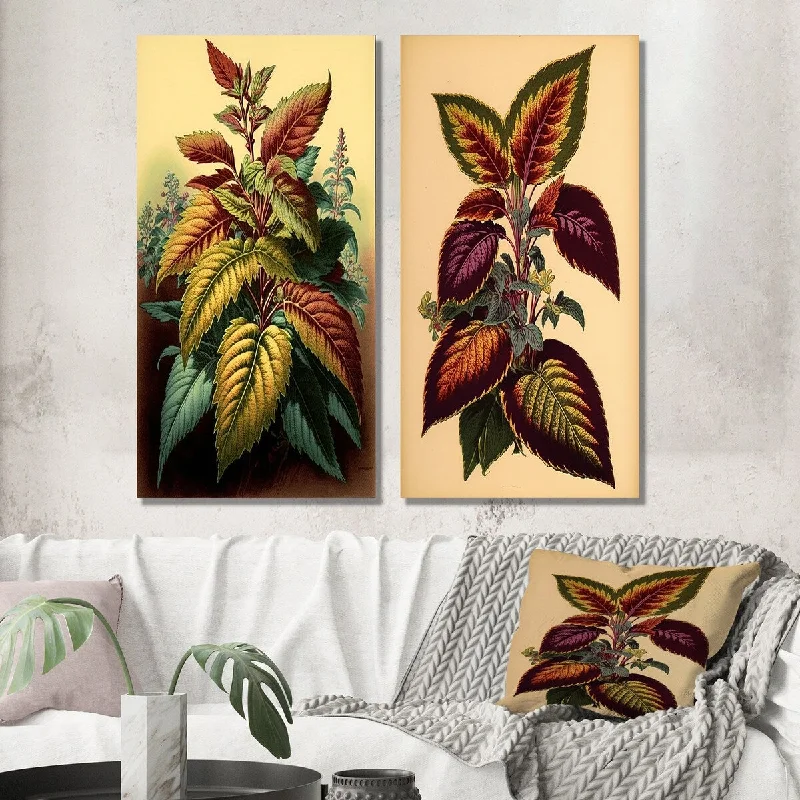 Designart "Coleus Plant Vintage Botanical Illustration I" Ferns Wall Set of 2 - Modern Print Art For Living Room Decor