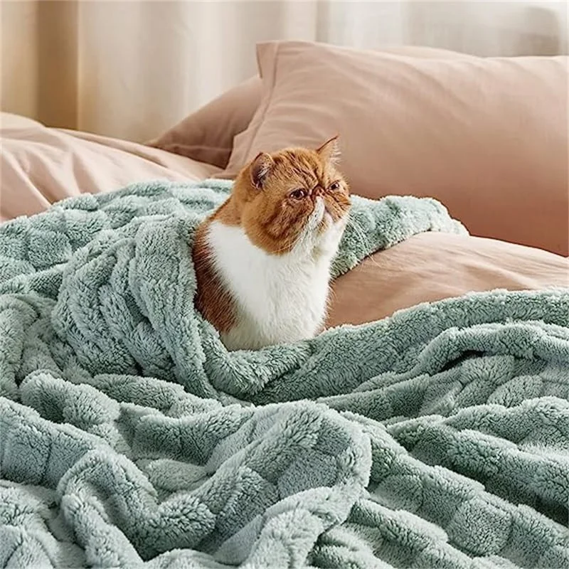 Blanket for Couch